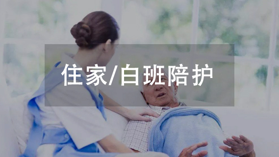 �����㻤������ѵ��֤